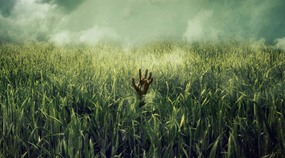 Постер фильма «В высокой траве»
