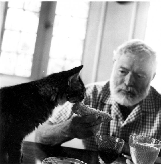 Хемингуэй и его кот на обеде