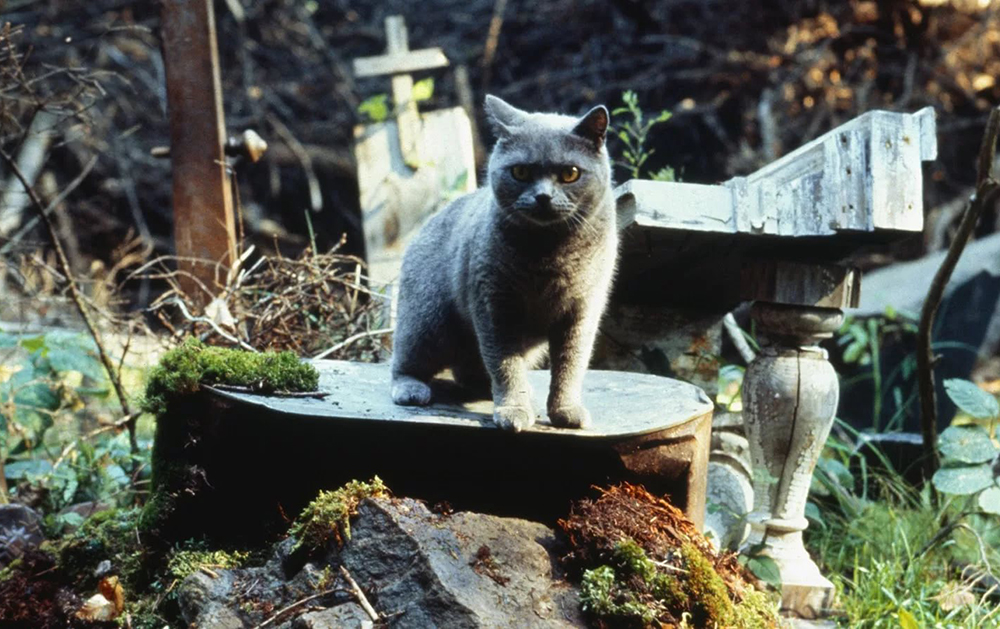 Кадр из фильма «Кладбище домашних животных» (1989)