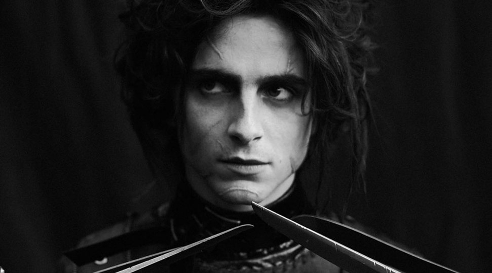 Тим Бертон оценил Тимоти Шаламе в роли сына героя Джонни Деппа из ...