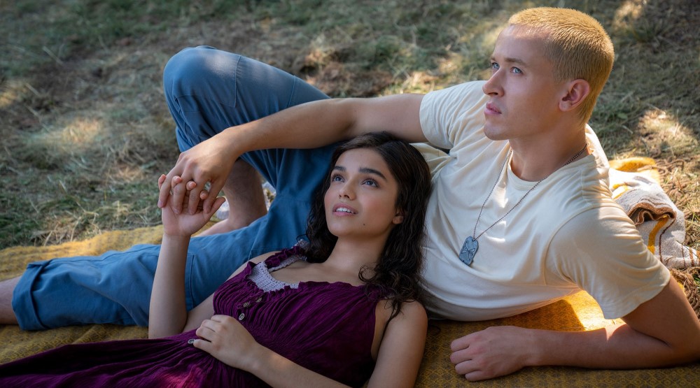 Шашты кисканың жақыннан түсірілген фотосы