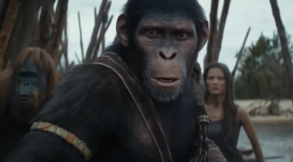 Режиссер фильма «Планета обезьян: Новое царство» ответил на теорию, что Ноа – родственник Цезаря