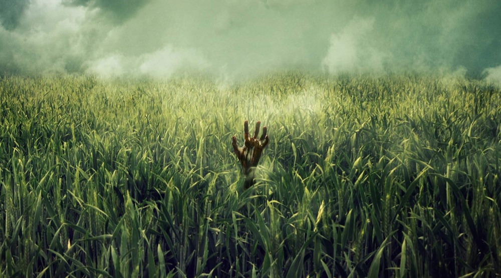 Постер фильма «В высокой траве»