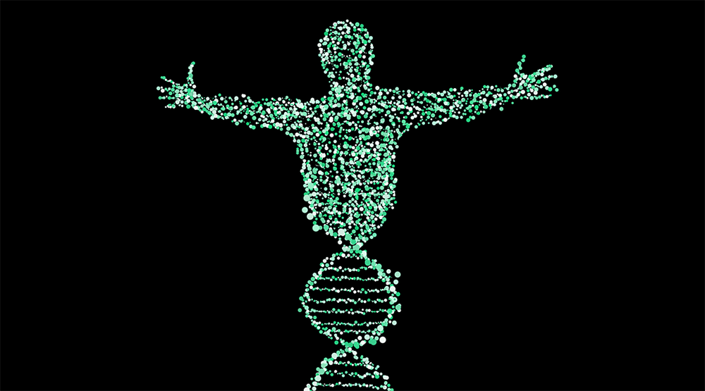 ДНК человека, арт