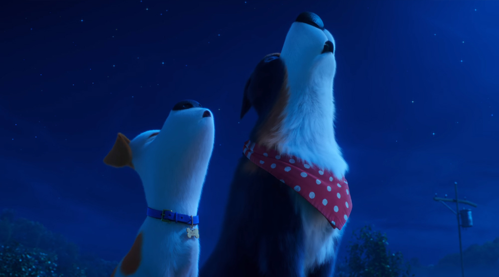 Кадр из мультфильма «Тайная жизнь домашних животных 2»