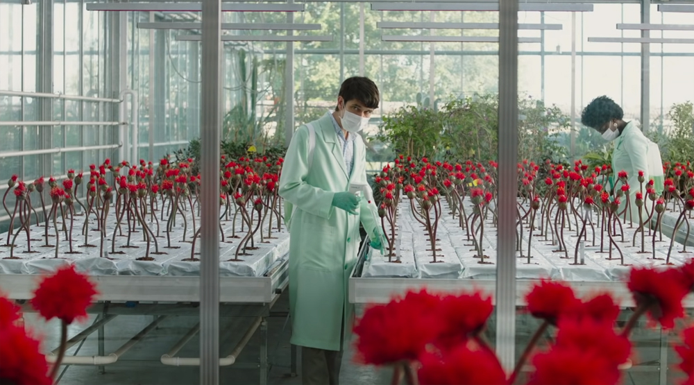 Кадр из фильма «Малыш Джо»