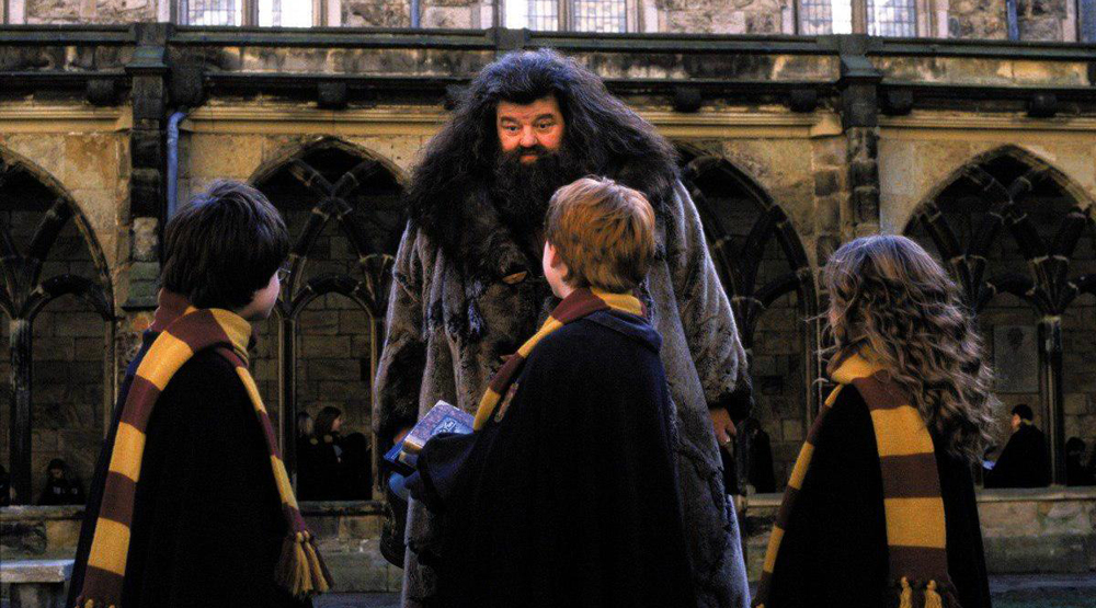 Кадр из фильма «Гарри Поттер и Тайная комната»