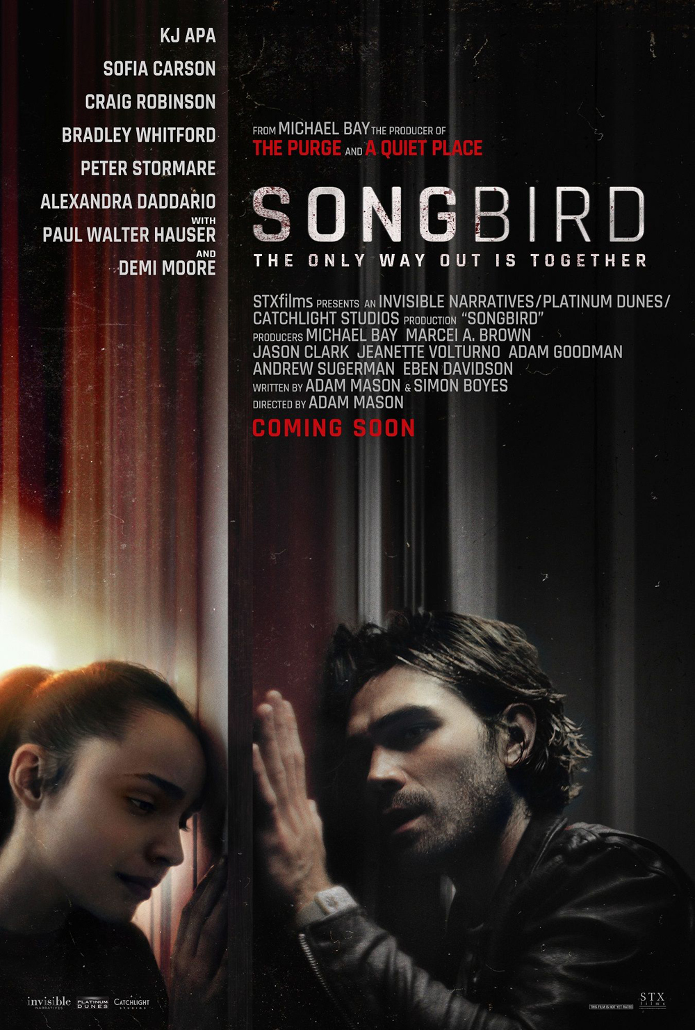 Промо-постер фильма «Певчая птица»