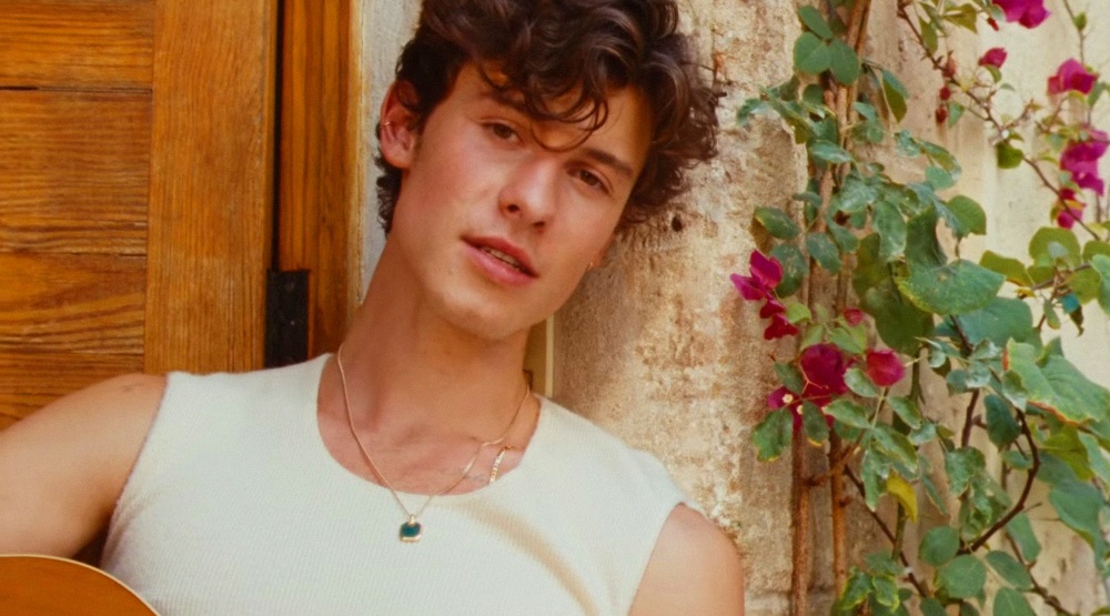 Кадр из клипа «Summer Of Love»