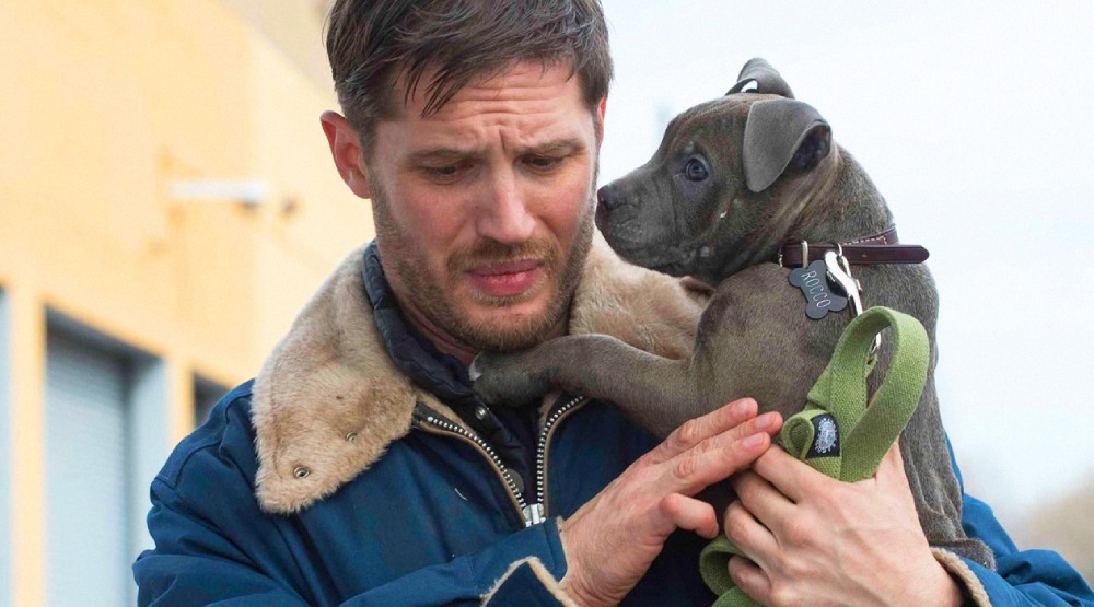 Том Харди и его собака Блю, кадр из фильма «Общак»