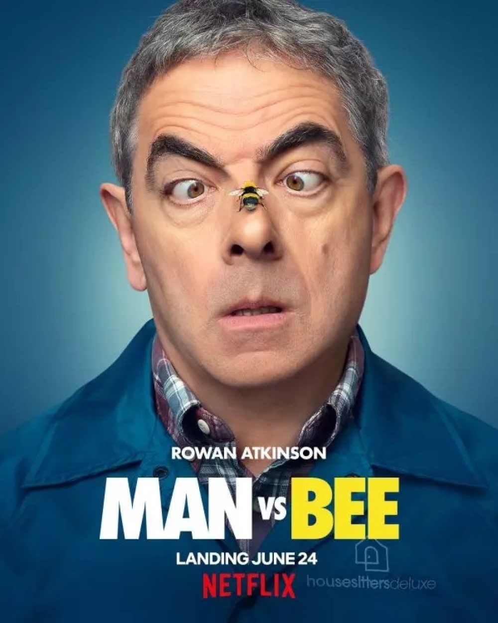 Промо-постер сериала «Человек против пчелы»