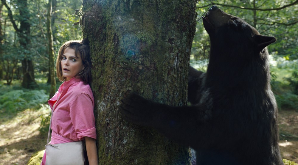 Кадр из фильма «Кокаиновый медведь» (2023)