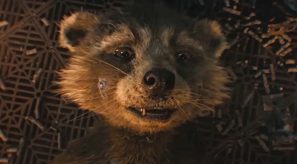 Кадр из фильма «Стражи Галактики. Часть 3» (2023)