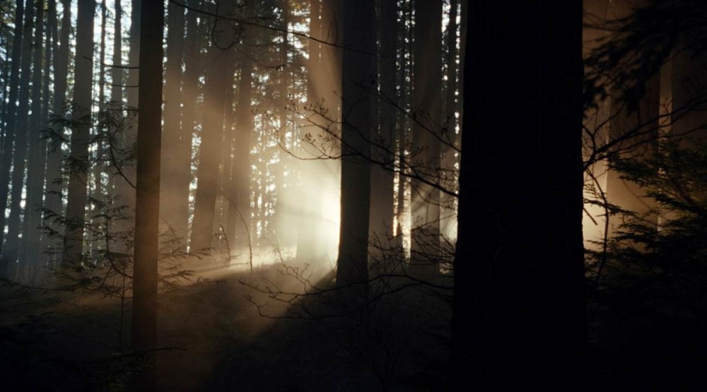 Кадр из фильма «Крипер» (2025)