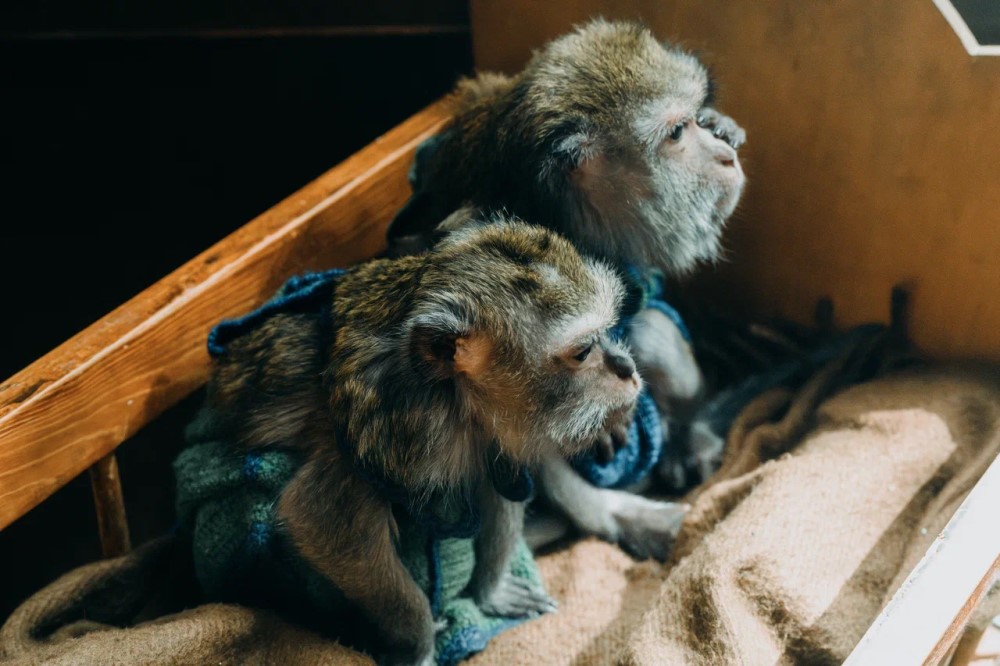 Кадр со съемок фильма «Красавица» (2026) / Фото: «Вольга»