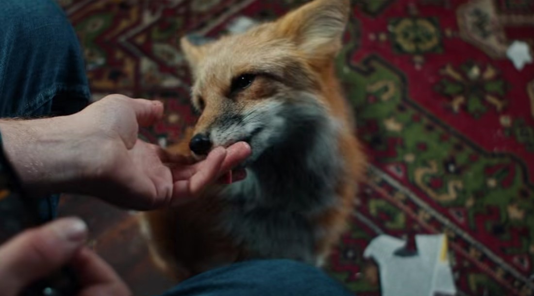 Кадр из сериала «Как приручить лису» (2025)