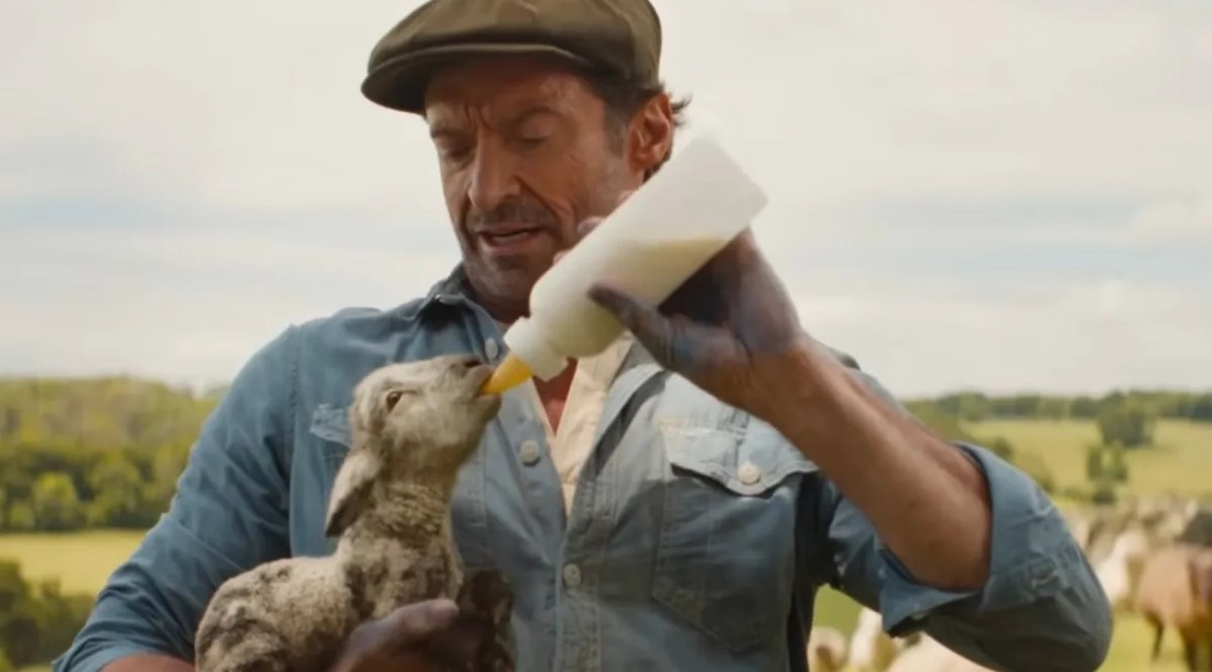 Кадр из фильма «Овечьи детективы» (2026)