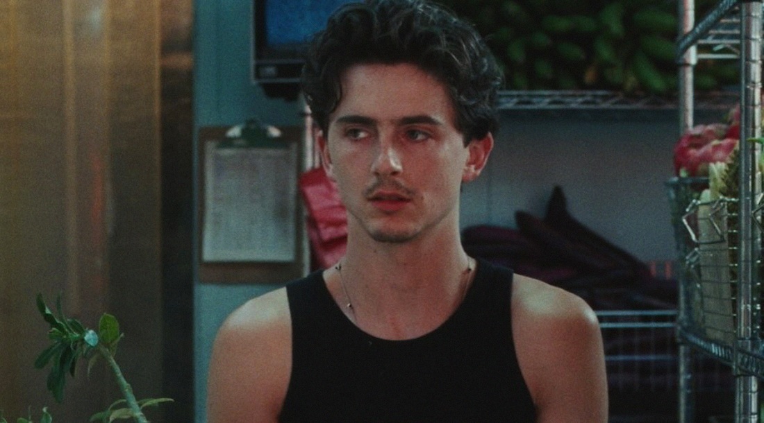 Тимоти Шаламе / Фото: соцсети Тимоти Шаламе