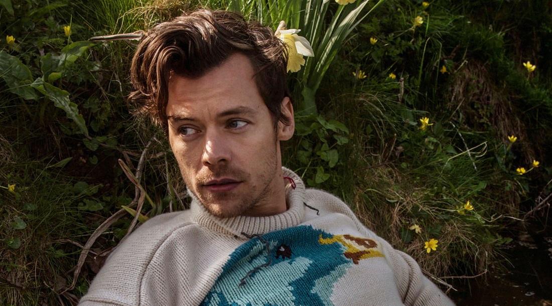 Гарри Стайлс / Фото: соцсети Гарри Стайлса