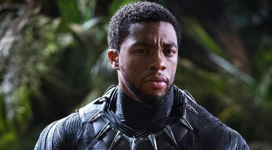 Кадр из фильма «Черная Пантера» (2018)