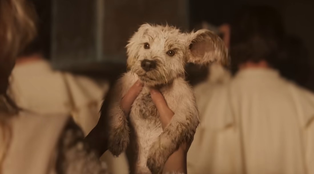 Кадр из фильма «Супергерл» (2026)