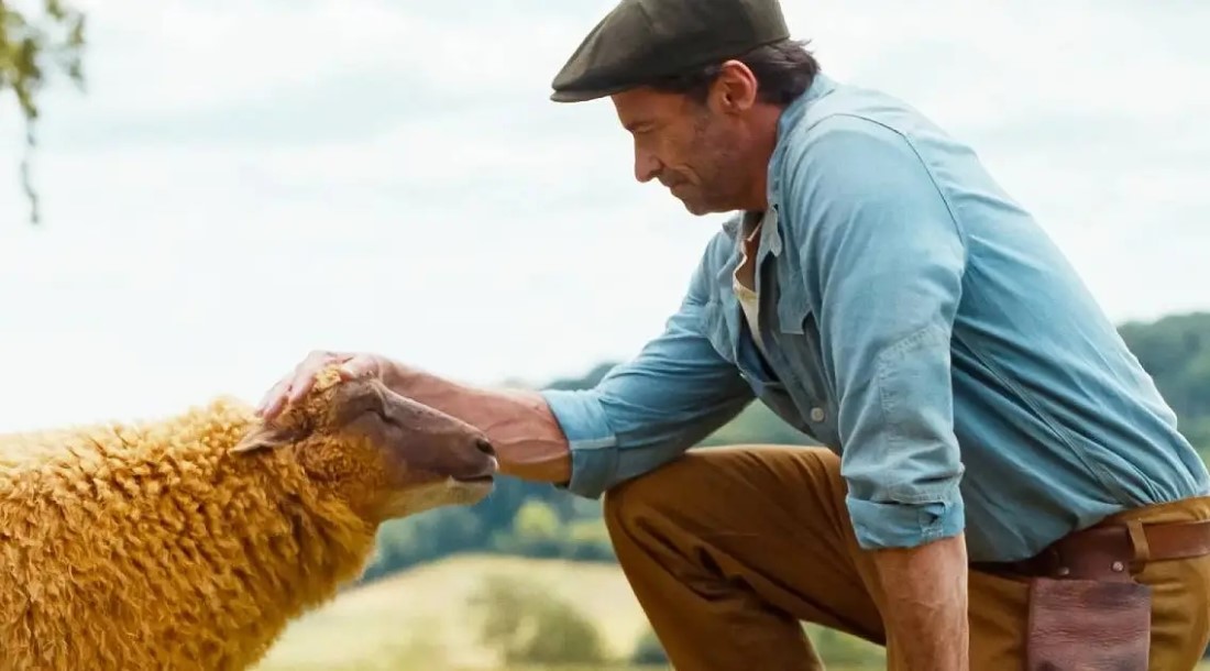 Кадр из фильма «Следствие ведут овечки» (2026)