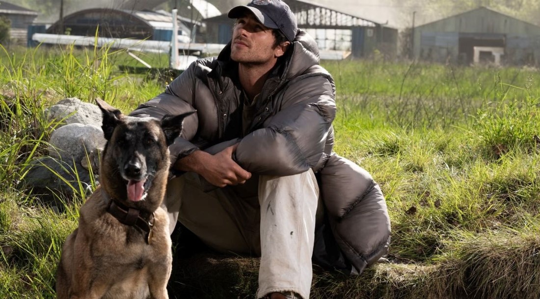 Кадр из фильма «Созвездие пса» (2026)