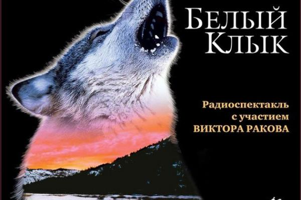 Магазин Белый Клык