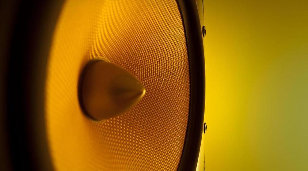 Диафрагма громкоговорителя Bowers & Wilkins (Фото: Bowers & Wilkins)