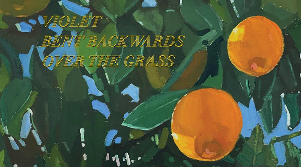Обложка аудиокниги «Violet Bent Backwards Over The Grass»