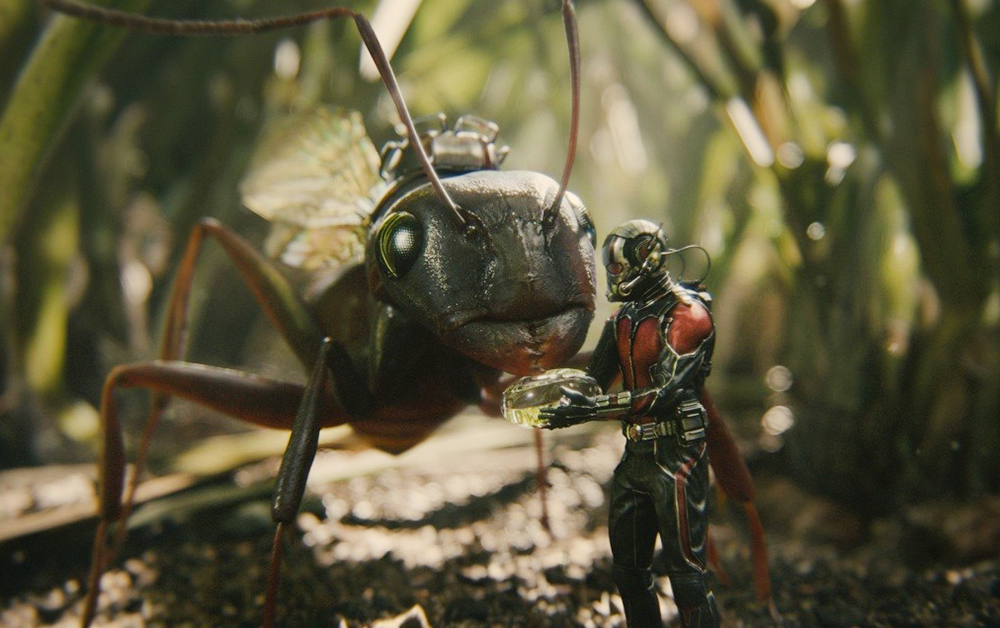 Кадр из фильма «Человек-муравей» (2015)