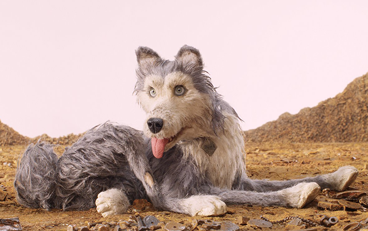 Кадр из мультфильма «Остров собак»