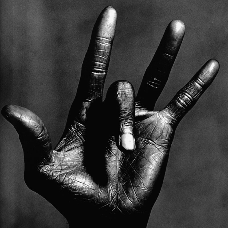 Автор фотографии Irving Penn