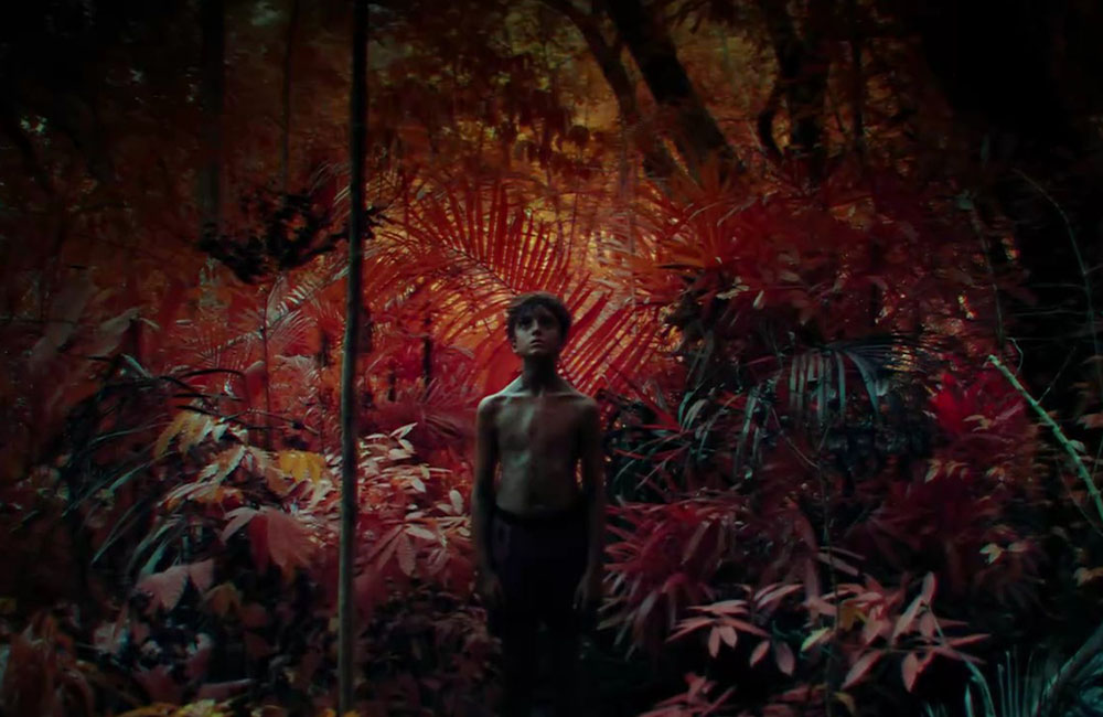 Кадр из сериала «Повелитель мух» (2026)